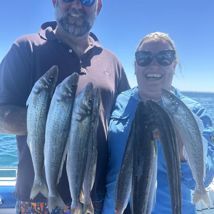 Two guests holding up a string of King George Whiting