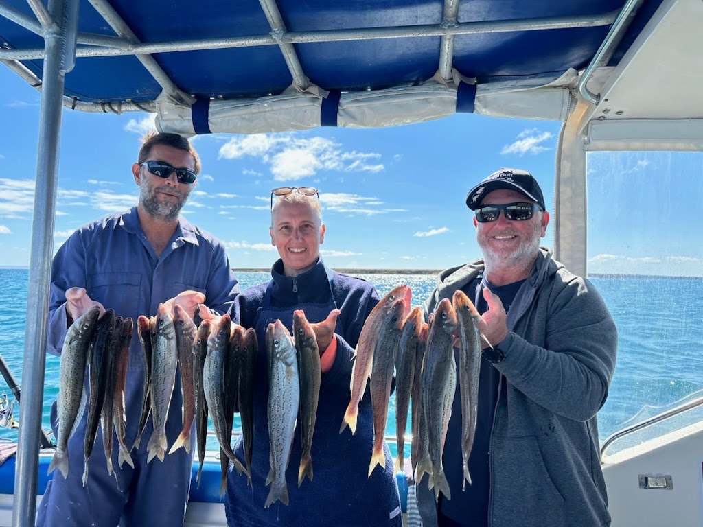 Three anglers under the boat's canopy holding a big string of whiting