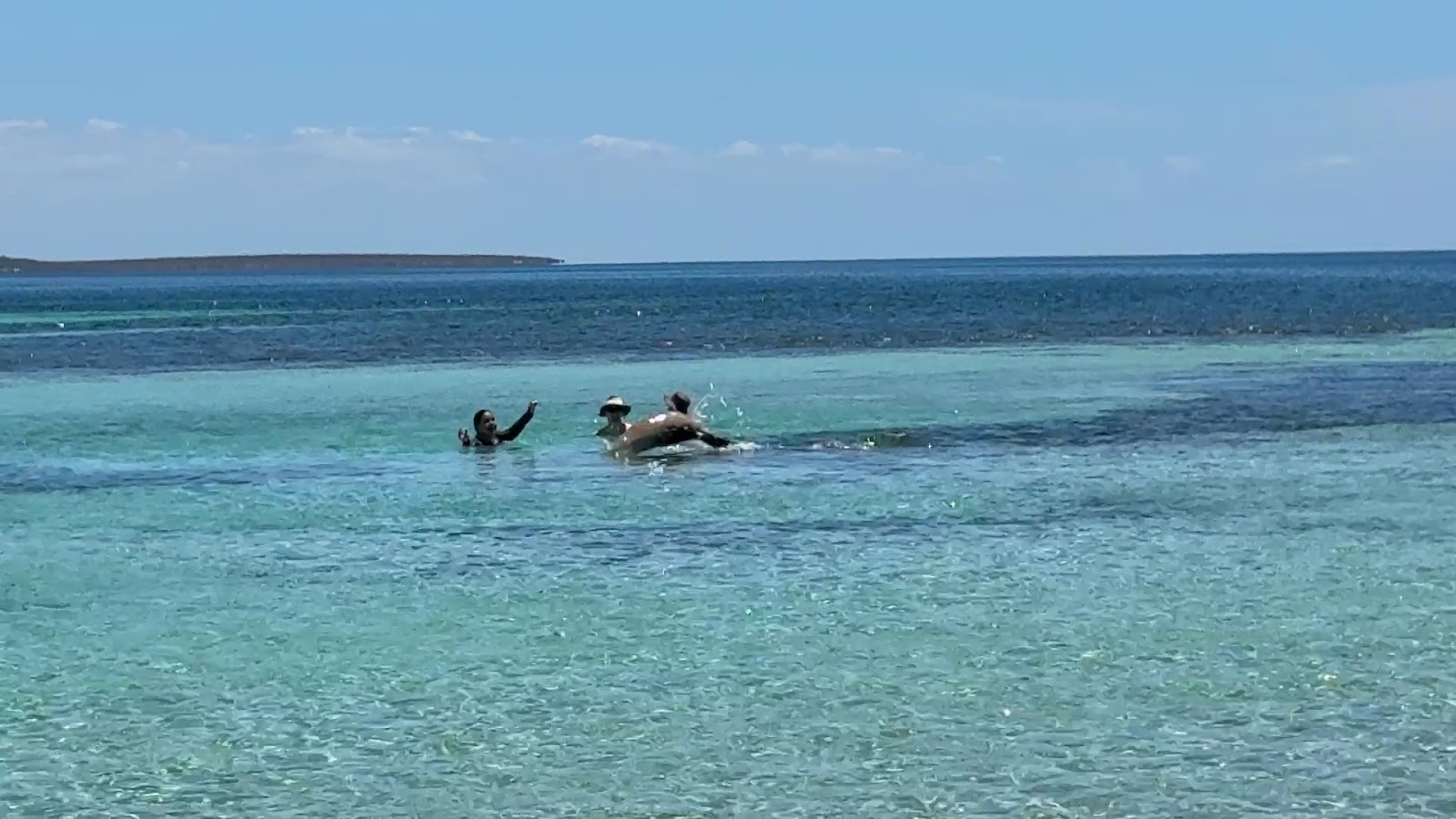 Sea lions swimming in clear turquoise shallows near the islands